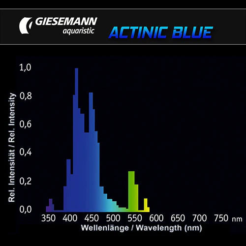 Giesemann Actinic Blue T5