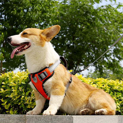 Dog Hand Holding Rope Vest Dog Chest Strap