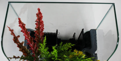 1.85 Gallons Glass Aquarium for Live Plants and Fish