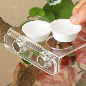Magnetic Acrylic Arboreal Feeding Ledge