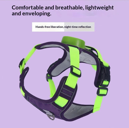Automatic Retractable Leash And Harness