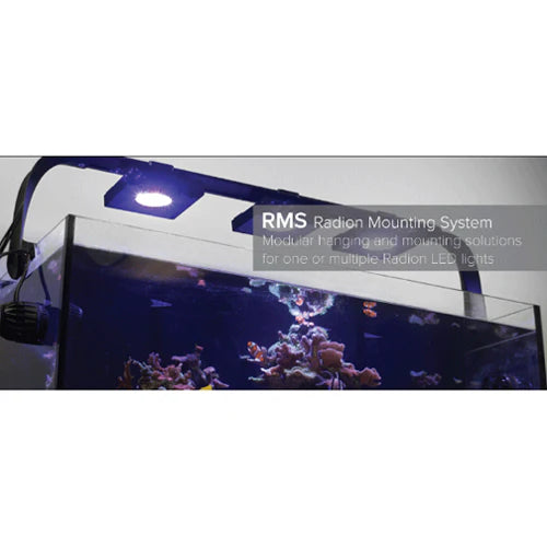 Ecotech Multi-Light RMS Track