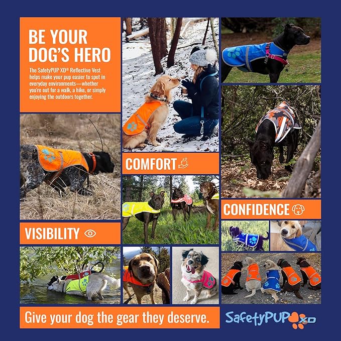Dog Reflective Vest – Hi-Vis Fluorescent Visibility That Helps to Safeguard Your Pet On/Off Leash in Urban & Rural Areas (Blue, Small)