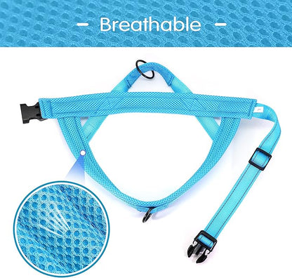Didog No Pull Dog Harness with Soft Mesh Padded,Reflective & Quick Fit Light Weight Dog Strap Vest Harness,Easy for Walking Training (XS:Chest 15-18", Mesh-Blue)
