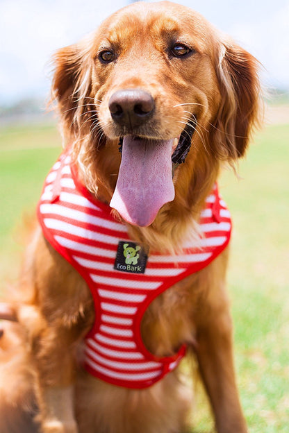 EcoBark Custom-Fit Harness & Leash Combo - Red Stripe