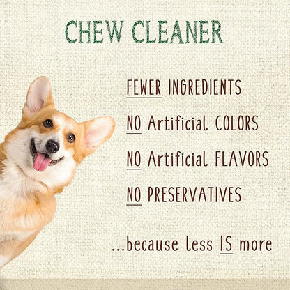 Nylabone Nutri Dent Dog Dental Chews - Natural Dog Teeth Cleaning & Breath Freshener - Dental Treats for Dogs - Filet Mignon Flavor, Mini (32 Count) (Pack of 2)