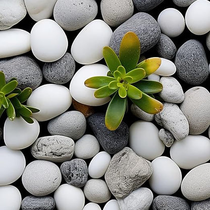 40lbs White River Rocks for Landscaping, 3-4 Inch Large Natural Unpolished Bulk Pebbles, Hand-Picked Premium Stones for Garden Design Fish Tank, Pathways and Backyard