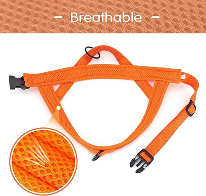 Didog No Pull Dog Harness with Soft Mesh Padded,Reflective & Quick Fit Light Weight Dog Strap Vest Harness,Easy for Walking Training (L:Chest 26-32", Orange)