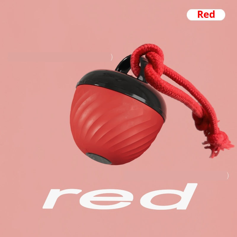 Smart Bite-Resistant Dog Toy Ball With Teeth-Grinding And Sound-Producing Features