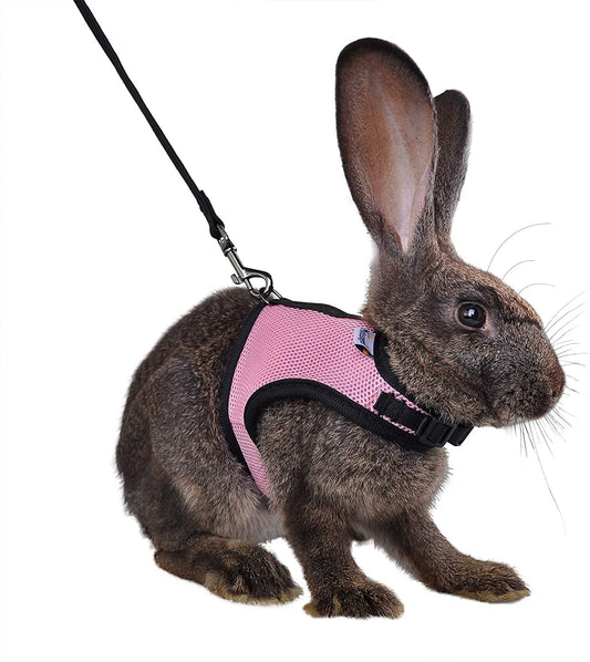 Adjustable Soft Harness with Elastic Leash for Rabbits (M, Pink)