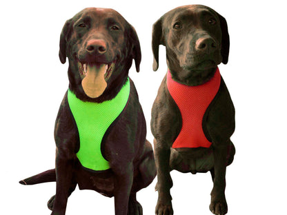 Comfort Mesh Dog Harness by cuteNfuzzyÂ® with Six Month Warranty