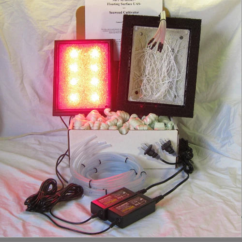 Surf4 Floating Surface Ribbon Scrubber with Green Grabber Surfaces