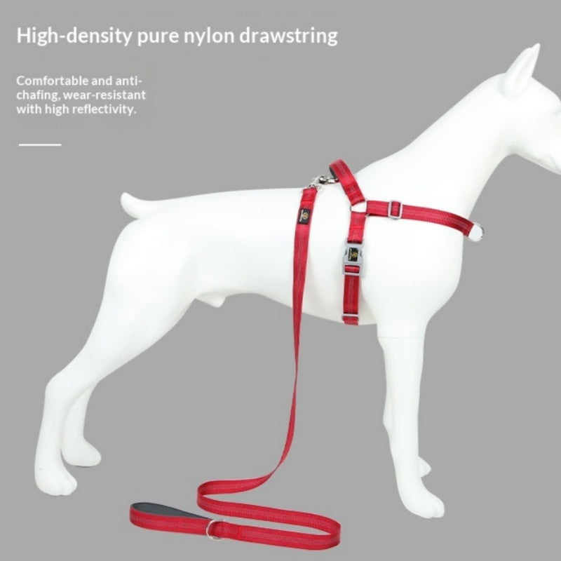 Fashionable Reflective Silk Webbing Pet Leash
