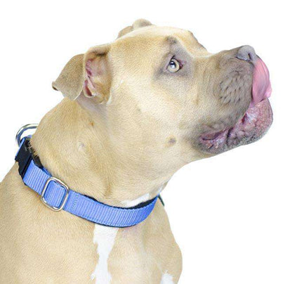 cuteNfuzzy® Adjustable Padded Dog Collar