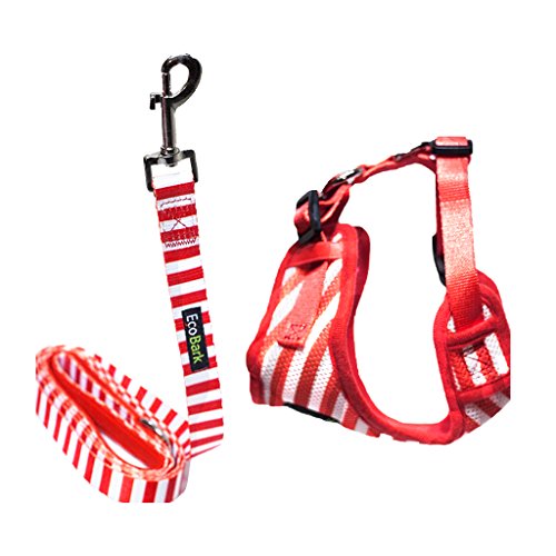 EcoBark Custom-Fit Harness & Leash Combo - Red Stripe