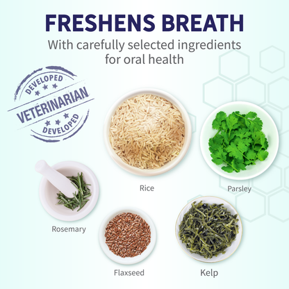 Fresh Breath Dental Bones