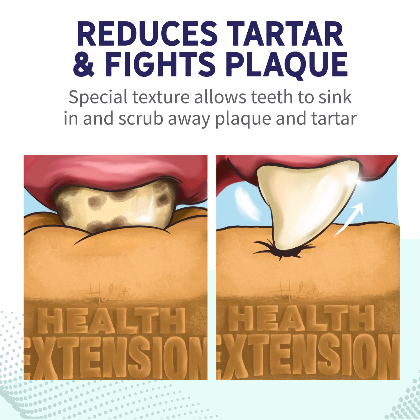 Probiotic Dental Bones