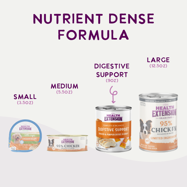Digestive Support, Chicken & Pumpkin Entrée in Gravy 9oz