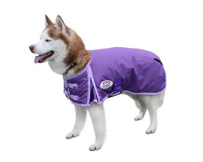 Derby 600D Dog Blanket Coat Waterproof Insulated 1 Year Limited Manufacturer Warranty*