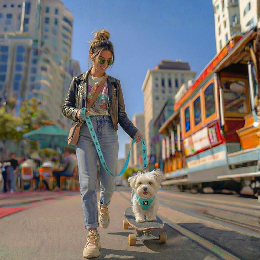 EcoBark Mint Turquoise Dog Leash - Comfort Grip Padded Leash - 4ft, 5ft, and 6ft Dog Leash for Small and Medium Dogs