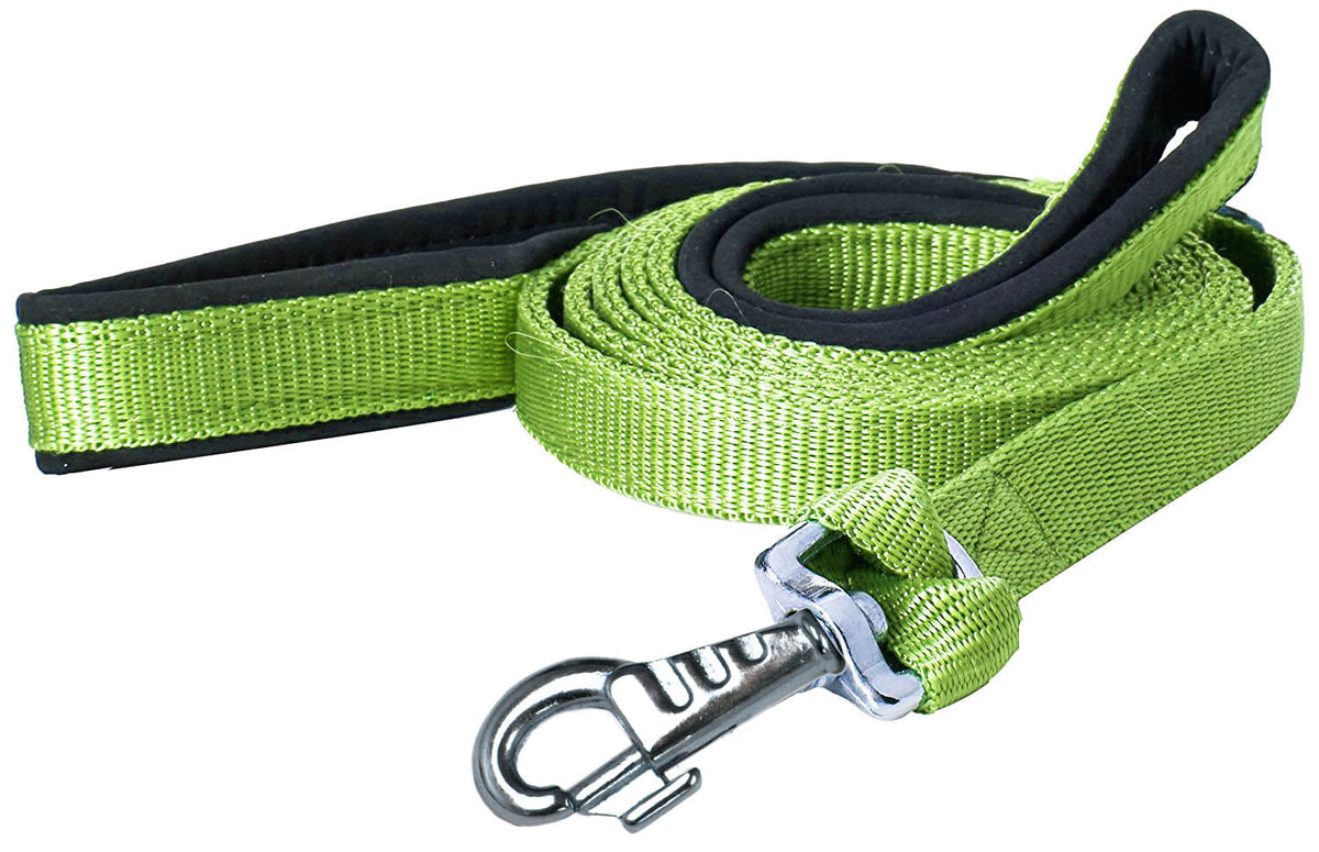 Padded Double Handle Dog Leash w Warranted Snap Design 3/4" x 6'