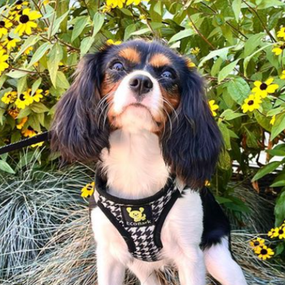 EcoBark Step In Dog Harness - XXXS to Small Breeds- Reflective Soft Mesh Harness for Teacup, Small Dogs and Puppies / Houndstooth