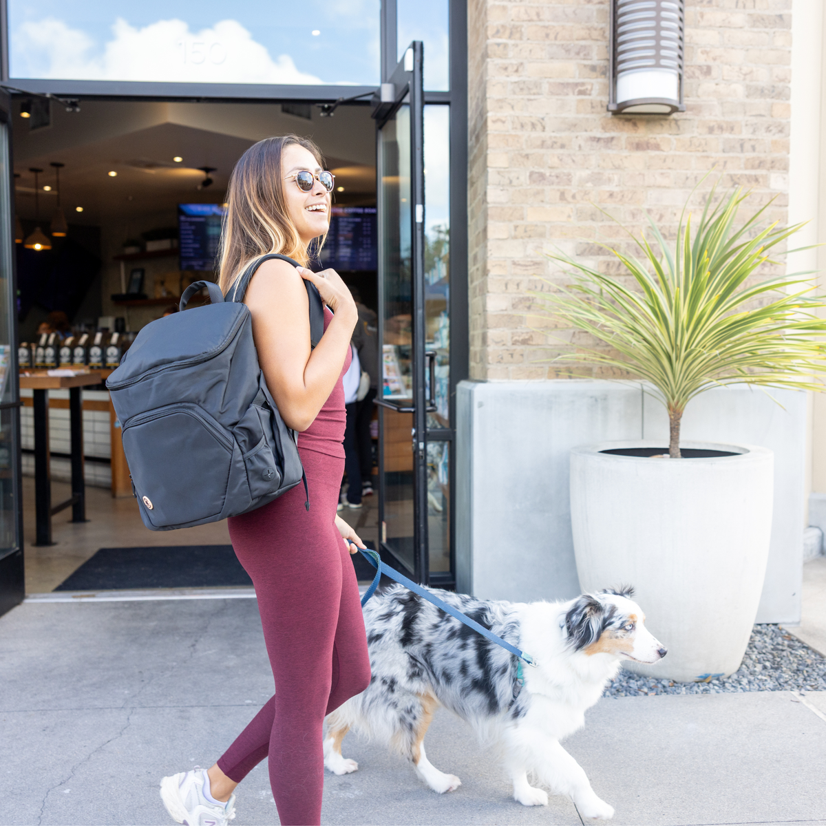 The Dog Bag™ Travel Bag