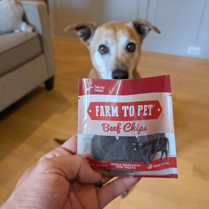 Beef Chips Snack Pack Bundles | Dog Treats for Training & Travel