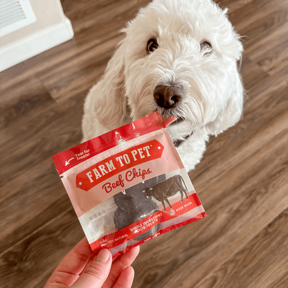 Puppy Packs 'n Snacks Dog Treat Starter Pack | Single-Ingredient Training Treats