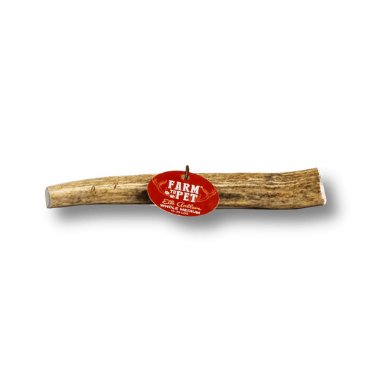 Whole Elk Antlers for Dogs | All-Natural Antler Dog Chews