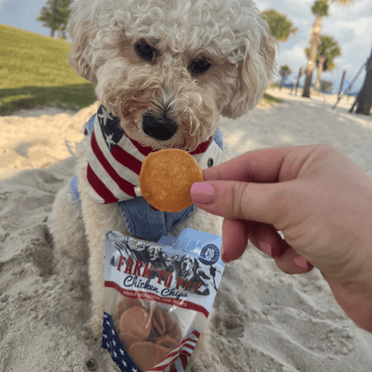 Americana Chicken Chips for Dogs | Celebrate with USA-made Dog Treats
