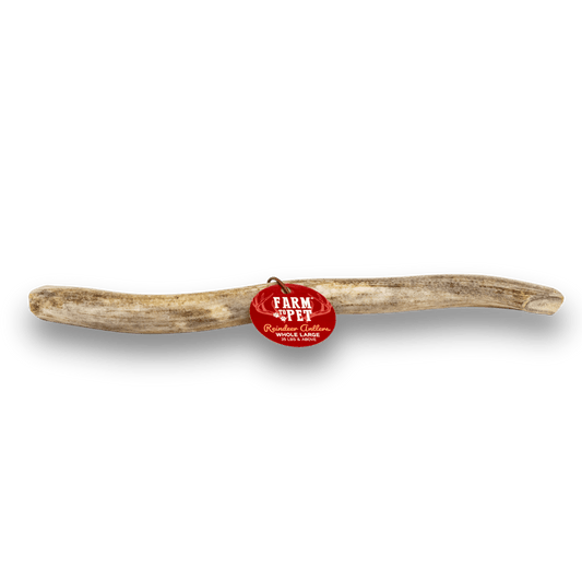Whole Reindeer Antlers for Dogs | Antler Dog Chews for Aggressive Chewers
