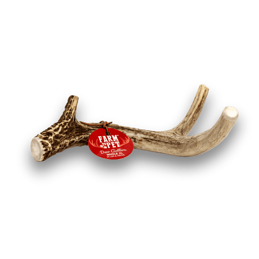Deer Antler Dog Chews | Organic Antler Chews