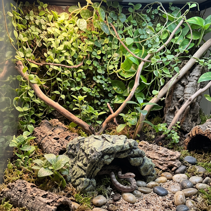 Resin Rock Cave