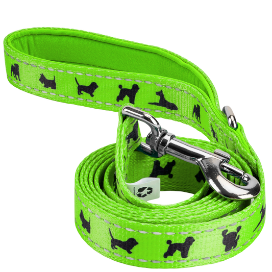 EcoBark Green Dog Leash- Padded Comfort Grip Leash - 4ft, 5ft, and 6ft Dog Leash for Small and Medium Dogs