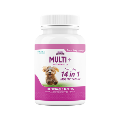 Multi + Lifetime Vitamins