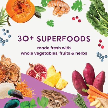 Air Dried Superfoods Beef Recipe