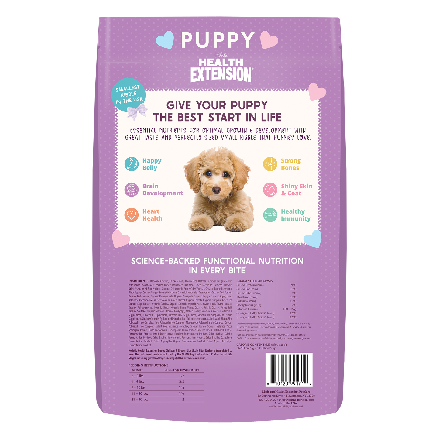 Puppy Little Bites