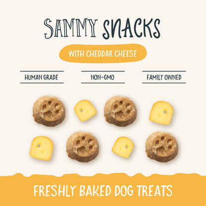 Sammy Snacks With Cheddar Cheese