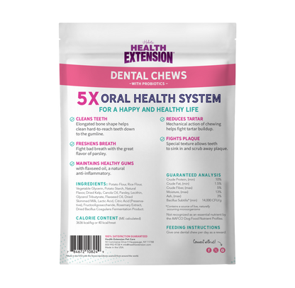 Probiotic Dental Bones