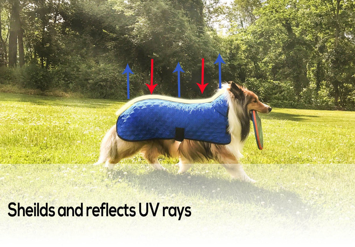 Derby Originals Hydro Cooling Dog Jacket with Harness Compatible Opening, Reflects Heat & Keeps Dogs Cool for up to 10 Hours