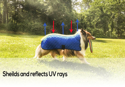 Derby Originals Hydro Cooling Dog Jacket with Harness Compatible Opening, Reflects Heat & Keeps Dogs Cool for up to 10 Hours