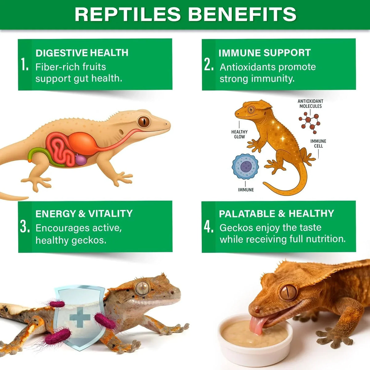 Gargeer Picky Geck: Rainforest Mist