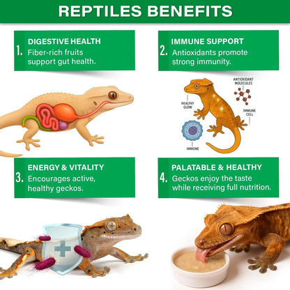 Gargeer Picky Geck: Rainforest Mist