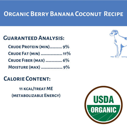Dog Mamma's Organic Berry Banana Coconut Oven Baked Dog Treats 6oz