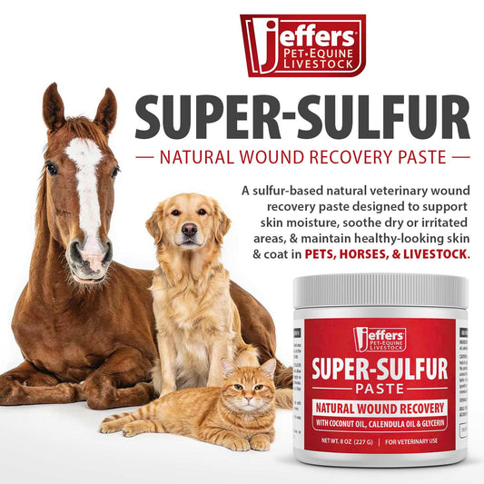 Jeffers Super-Sulfur Skin & Wound Healing Paste for Pets, Horses, & Livestock