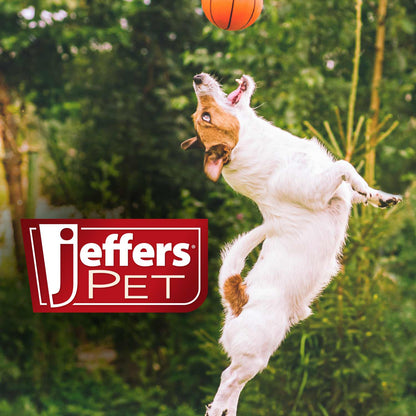 Jeffers Natural Flea & Tick Pennyroyal Dog Shampoo - Aids in Repelling Fleas, Ticks, Flies & Mosquitos