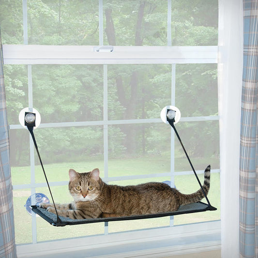 Kitty Sill - EZ Window Mount
