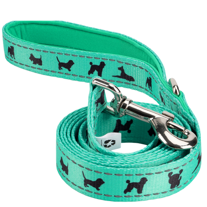 EcoBark Mint Turquoise Dog Leash - Comfort Grip Padded Leash - 4ft, 5ft, and 6ft Dog Leash for Small and Medium Dogs