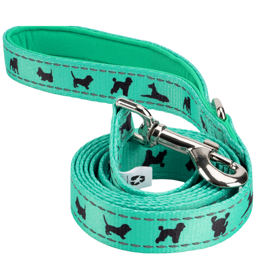 EcoBark Mint Turquoise Dog Leash - Comfort Grip Padded Leash - 4ft, 5ft, and 6ft Dog Leash for Small and Medium Dogs